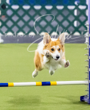 2024-12-14-Angie-Saturday-228