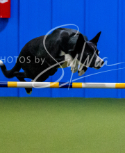 2024-12-14-Angie-Saturday-238