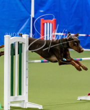 2024-12-14-Angie-Saturday-266