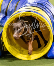 2024-12-14-Angie-Saturday-268