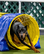 2024-12-14-Angie-Saturday-73