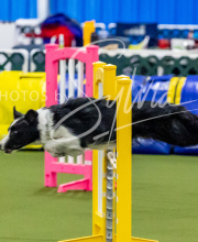 2024-12-14-Angie-Saturday-91