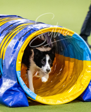 2024-12-14-Angie-Saturday-92