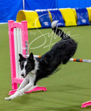 2024-12-14-Angie-Saturday-97