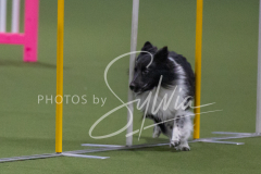 2024-3-10-May-Trial-138