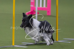 2024-3-10-May-Trial-139