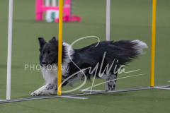 2024-3-10-May-Trial-140