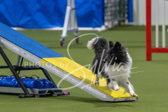 2024-3-10-May-Trial-143