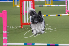 2024-3-10-May-Trial-144