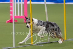 2024-3-10-May-Trial-146