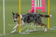 2024-3-10-May-Trial-147