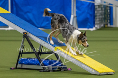 2024-3-10-May-Trial-149