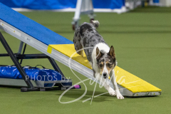 2024-3-10-May-Trial-150