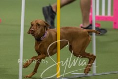 2024-3-10-May-Trial-151