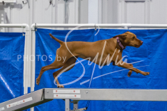 2024-3-10-May-Trial-153