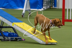 2024-3-10-May-Trial-154