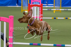 2024-3-10-May-Trial-155