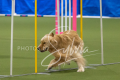 2024-3-10-May-Trial-156