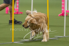 2024-3-10-May-Trial-157