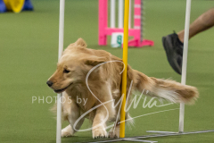 2024-3-10-May-Trial-158