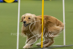 2024-3-10-May-Trial-159