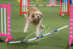 2024-3-10-May-Trial-161