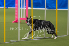 2024-3-10-May-Trial-162