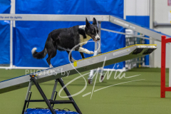 2024-3-10-May-Trial-165