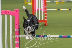 2024-3-10-May-Trial-167