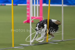 2024-3-10-May-Trial-168