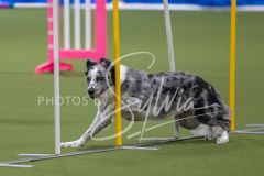 2024-3-10-May-Trial-172