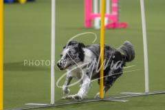 2024-3-10-May-Trial-174