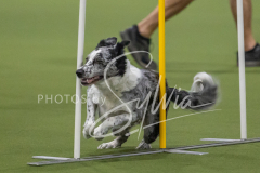 2024-3-10-May-Trial-175