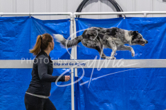 2024-3-10-May-Trial-176