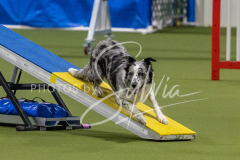 2024-3-10-May-Trial-178