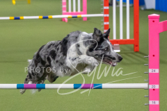 2024-3-10-May-Trial-179