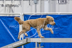 2024-3-10-May-Trial-187