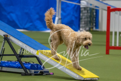 2024-3-10-May-Trial-189