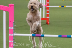 2024-3-10-May-Trial-191