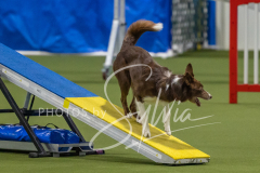 2024-3-10-May-Trial-193