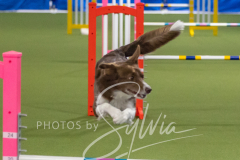 2024-3-10-May-Trial-194