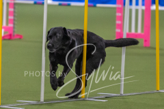 2024-3-10-May-Trial-195