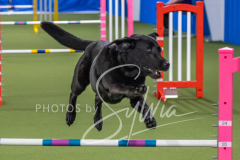 2024-3-10-May-Trial-198