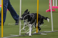 2024-3-10-May-Trial-200