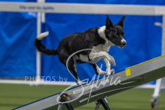 2024-3-10-May-Trial-201