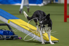 2024-3-10-May-Trial-202