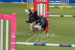 2024-3-10-May-Trial-203