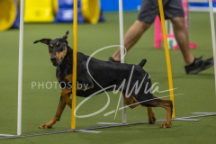 2024-3-10-May-Trial-204