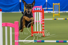 2024-3-10-May-Trial-207