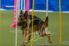 2024-3-10-May-Trial-209